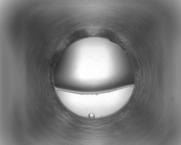 X0000066080221200603100945