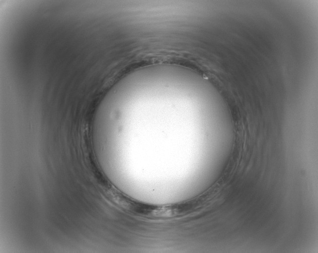 X0000066080225200603100945