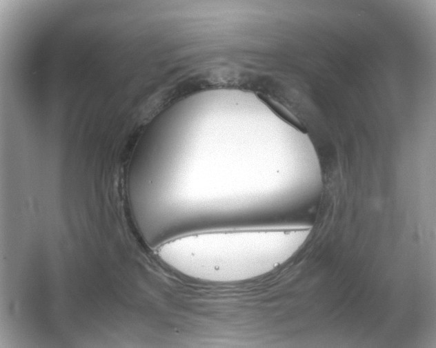 X0000066080233200603100945