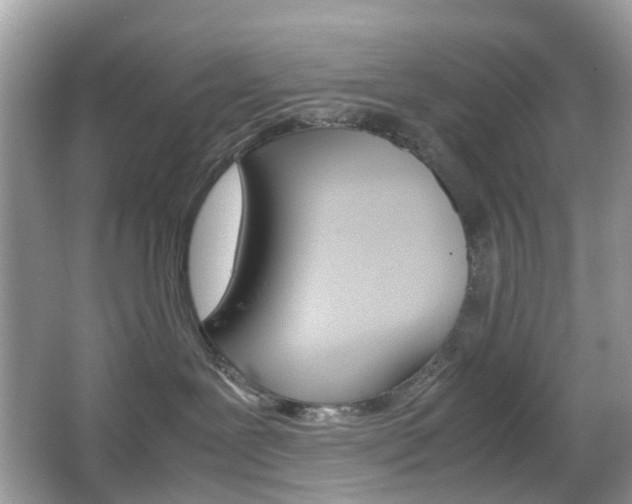 X0000066080239200603100945