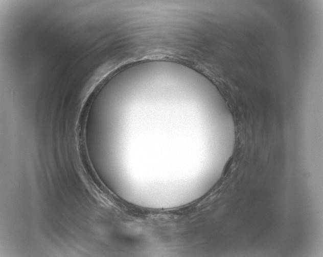 X0000066080242200603100944