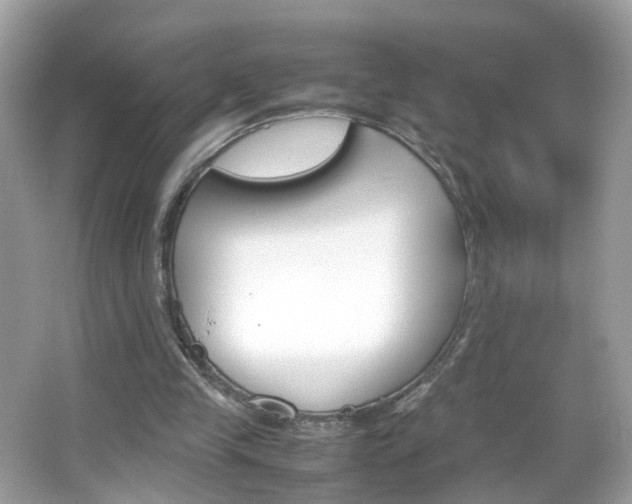X0000066080245200603100944