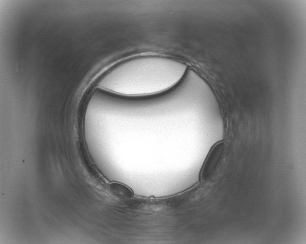 X0000066080247200603100944