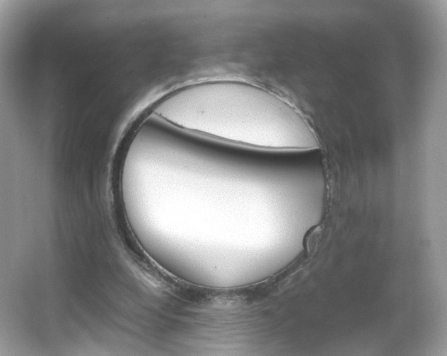 X0000066080248200603100944