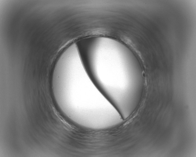 X0000066080249200603100944