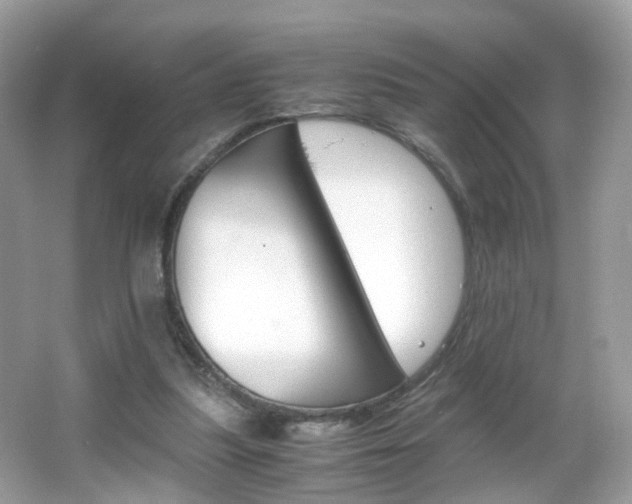 X0000066080251200603100944
