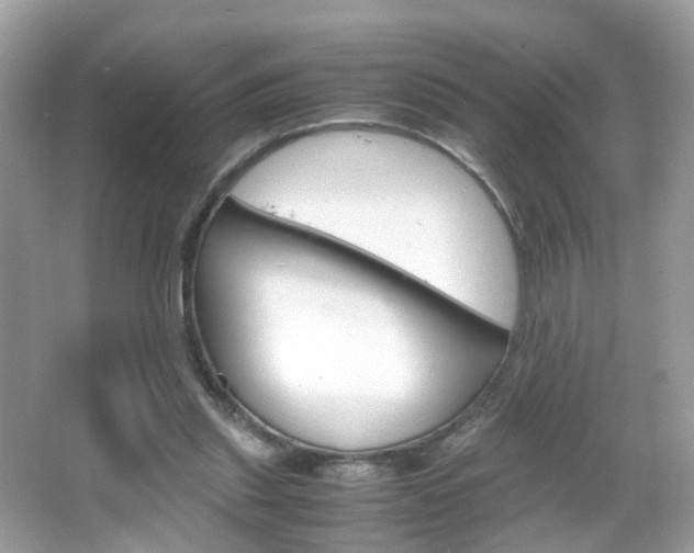 X0000066080253200603100945