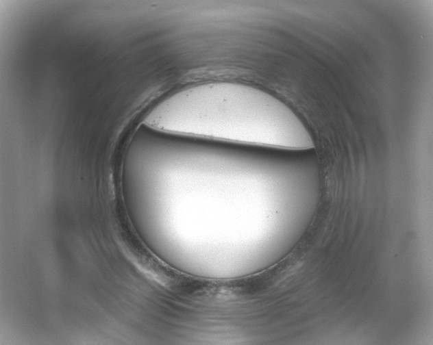 X0000066080254200603100945