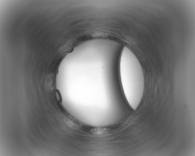 X0000066080273200603100945