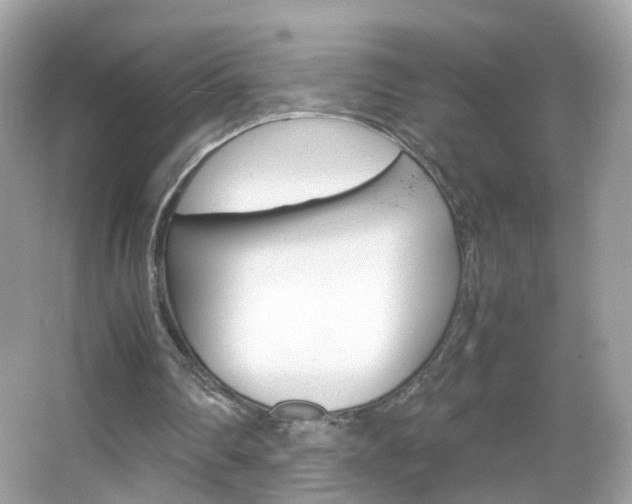 X0000066080290200603100944
