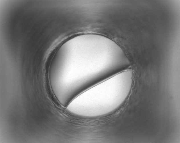 X0000066080295200603100944