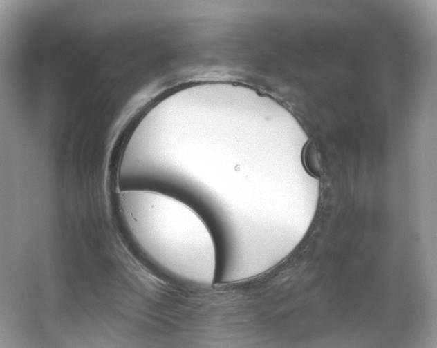 X0000066080296200603100944