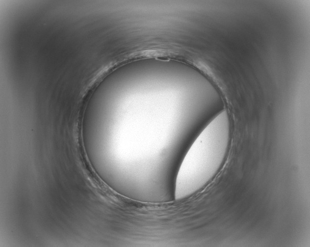 X0000066080297200603100944