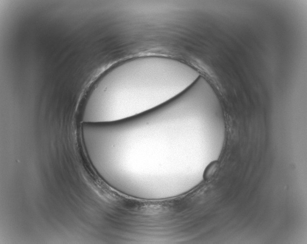 X0000066080298200603100944