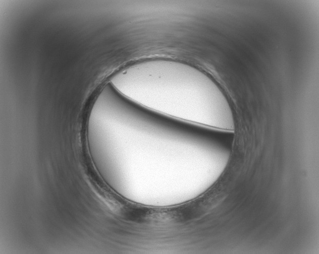 X0000066080299200603100944