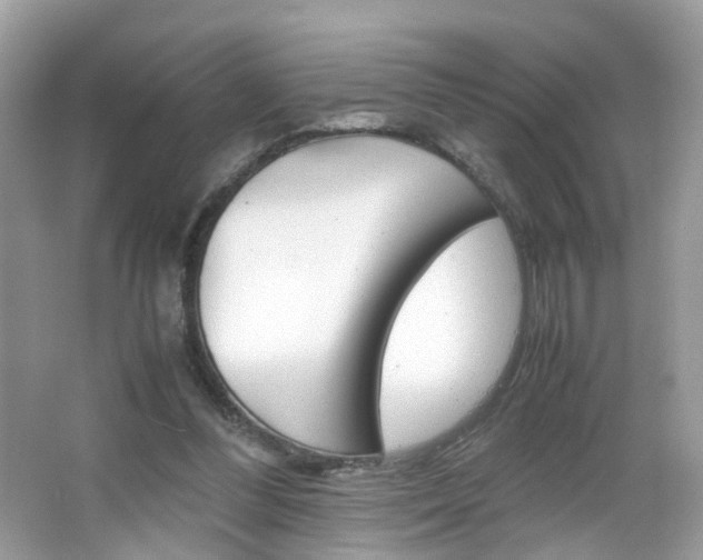X0000066080300200603100944