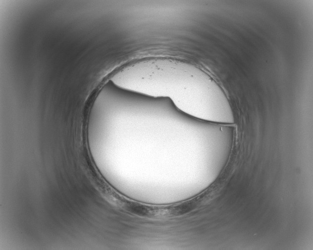 X0000066080301200603100944