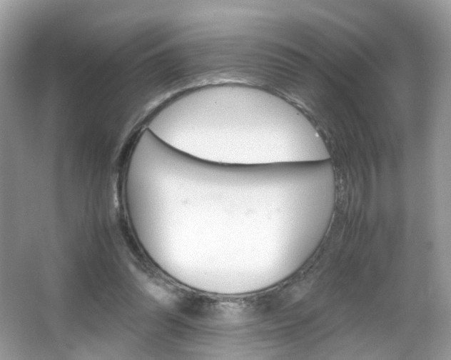 X0000066080302200603100944