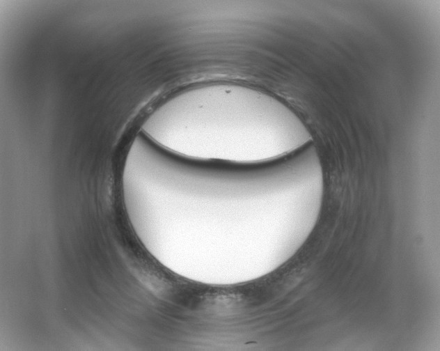 X0000066080304200603100944