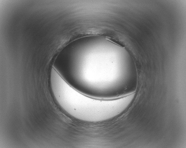 X0000066080305200603100944