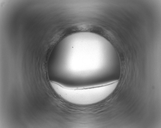 X0000066080317200603100944