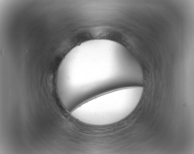 X0000066080319200603100944