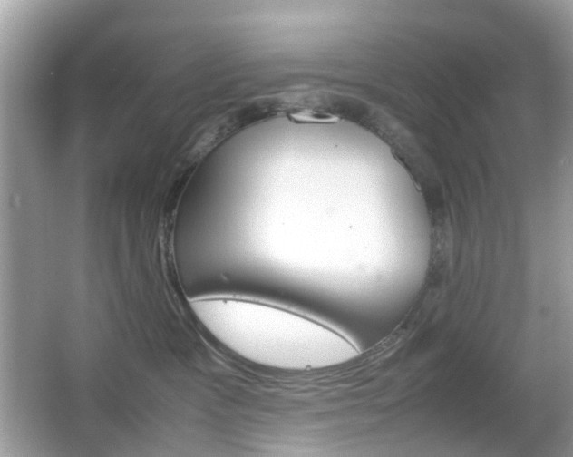 X0000066080333200603100944