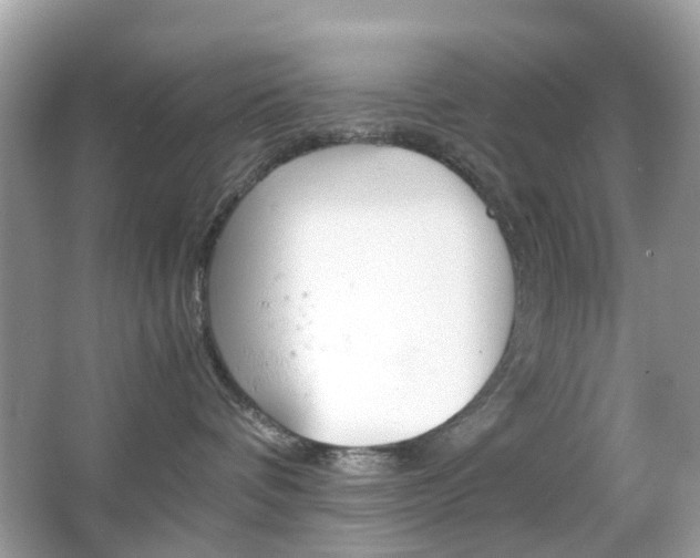 X0000066080336200603100944