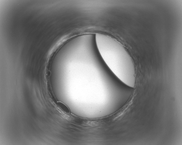 X0000066080341200603100943