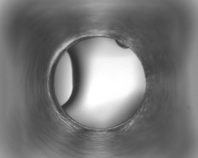 X0000066080342200603100943