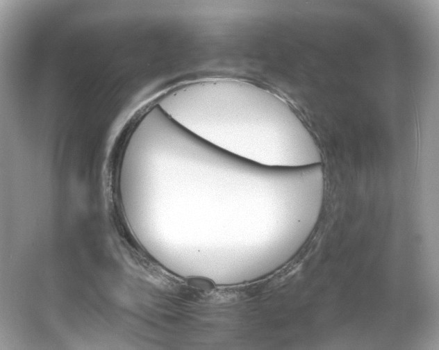 X0000066080343200603100943