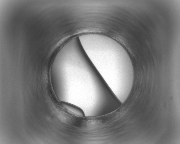 X0000066080348200603100943