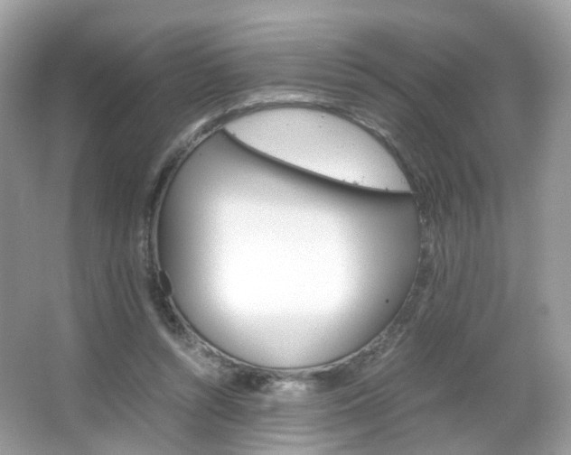X0000066080352200603100943