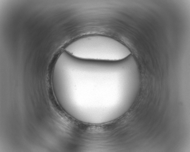X0000066080354200603100943