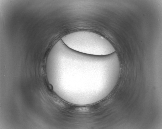 X0000066080361200603100943