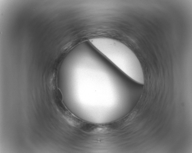 X0000066080364200603100943