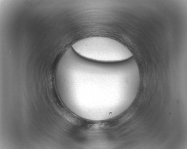 X0000066080366200603100943