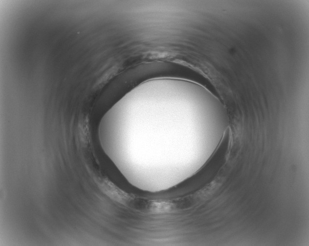 X0000066080376200603100943