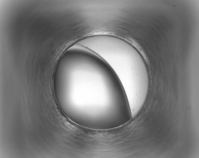 X0000066080385200603100943