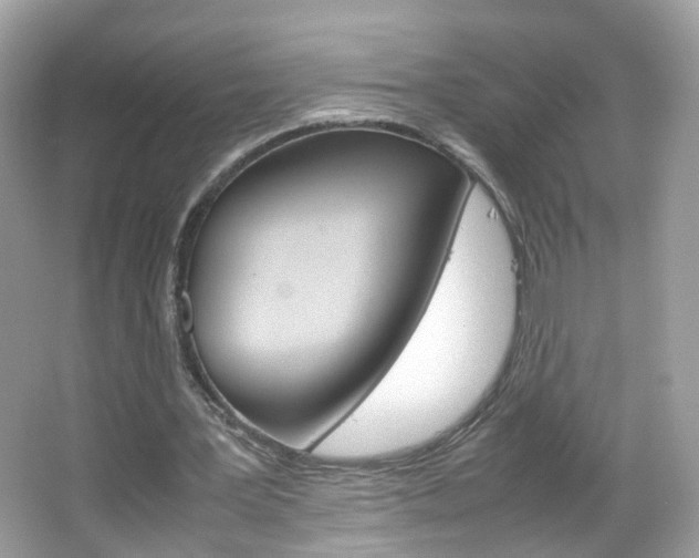 X0000066080387200603100943