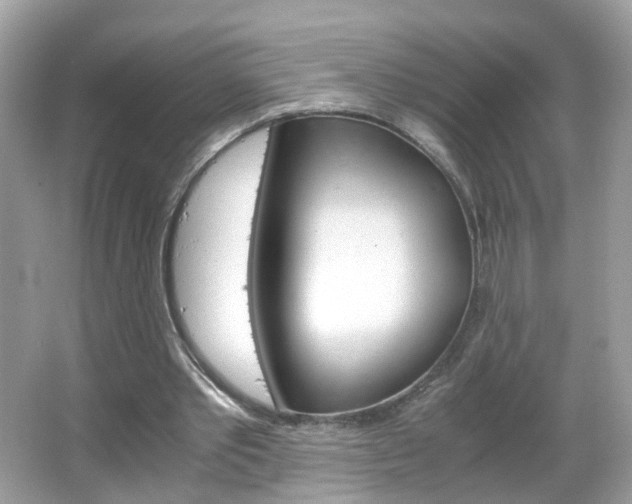 X0000066080389200603100943