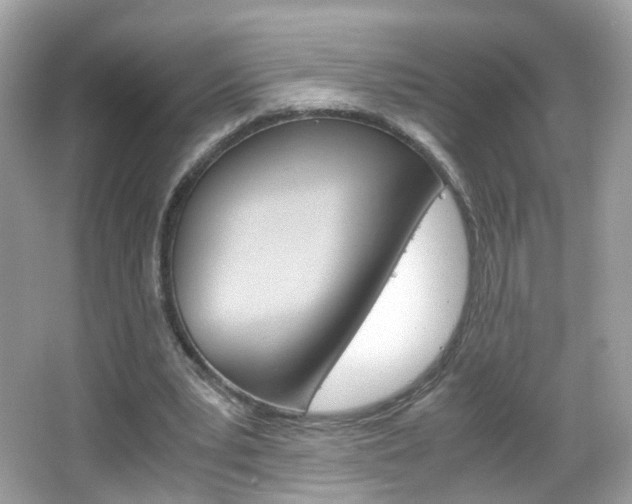 X0000066080391200603100943