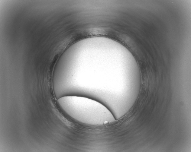X0000066080402200603100942