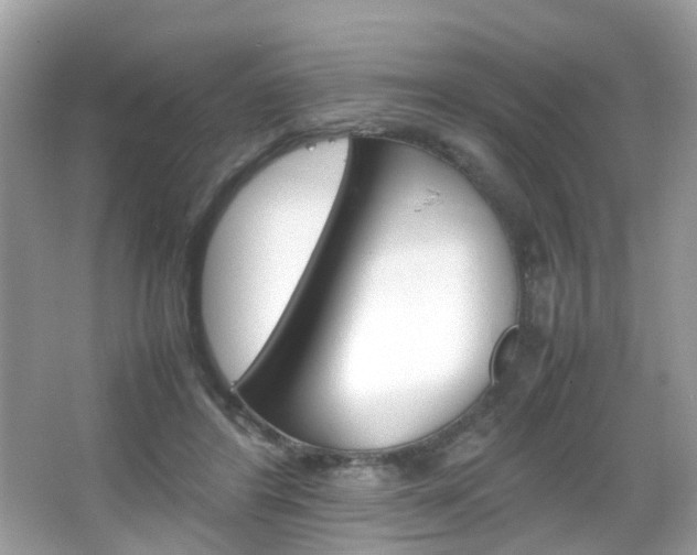 X0000066080404200603100942