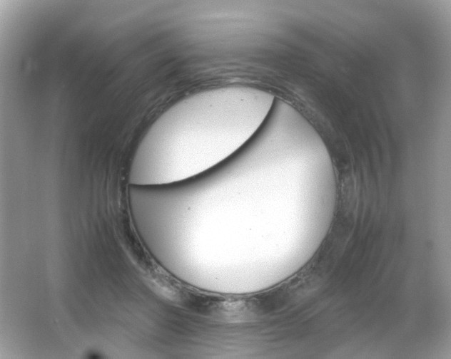 X0000066080406200603100942