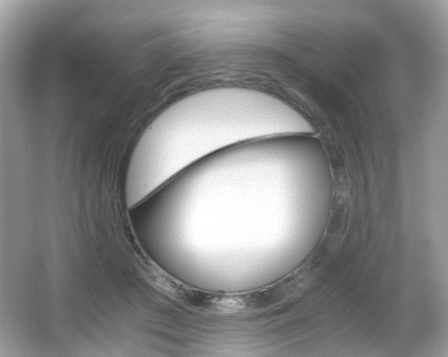 X0000066080409200603100942