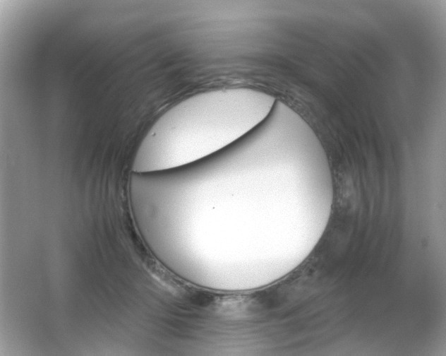 X0000066080414200603100942