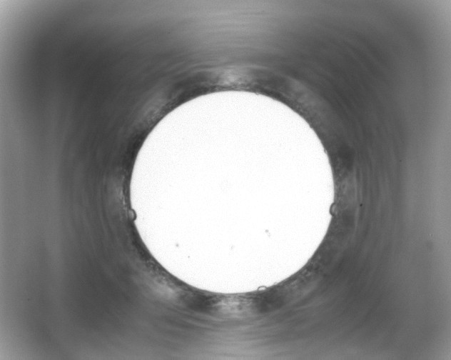 X0000066080415200603100942