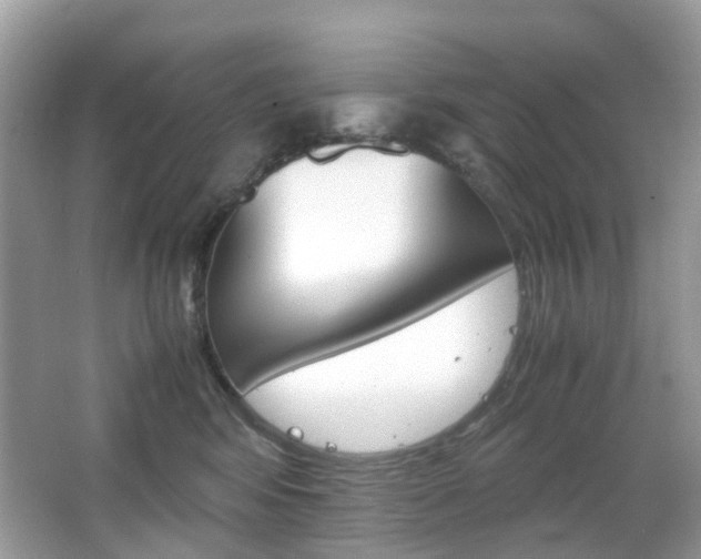 X0000066080424200603100942