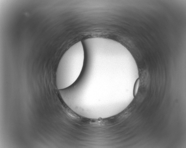 X0000066080430200603100942